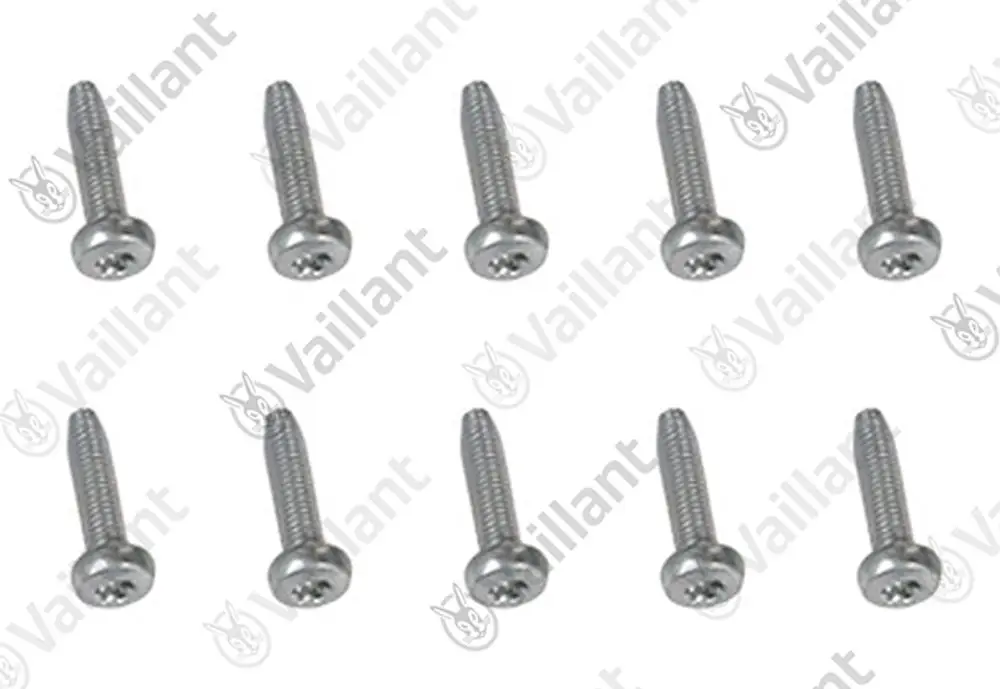 Vaillant Schrauben, zehn Stück, mit gewinde und flachem Kopf, angeordnet in zwei Reihen. Ideal für verschiedene Anwendungen.